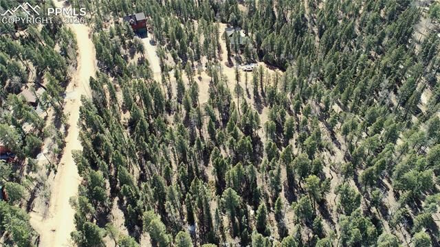 19 Serenity Circle, Florissant, CO 80816