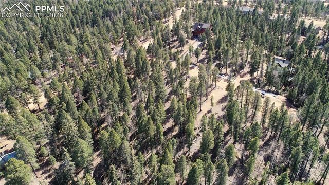 19 Serenity Circle, Florissant, CO 80816