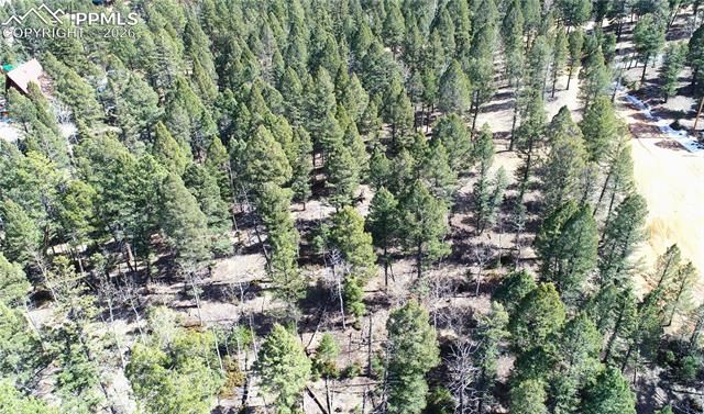 19 Serenity Circle, Florissant, CO 80816