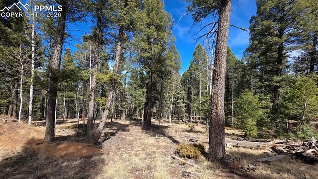 19 Serenity Circle, Florissant, CO 80816