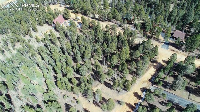 19 Serenity Circle, Florissant, CO 80816