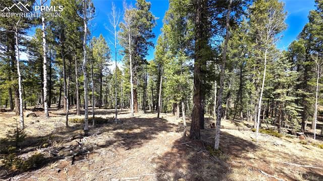 19 Serenity Circle, Florissant, CO 80816