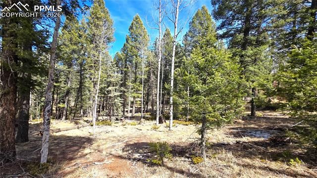 19 Serenity Circle, Florissant, CO 80816