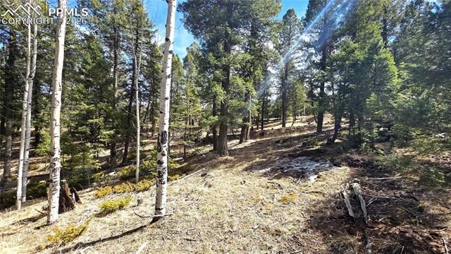 19 Serenity Circle, Florissant, CO 80816