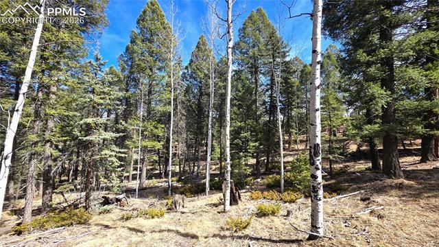 19 Serenity Circle, Florissant, CO 80816