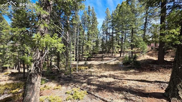 19 Serenity Circle, Florissant, CO 80816