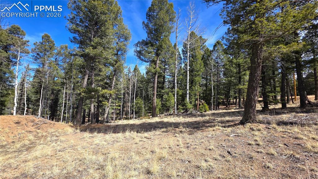 19 Serenity Circle, Florissant, CO 80816