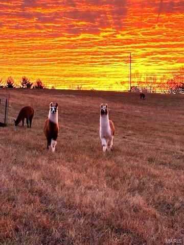 850 AJ Farm Lane, Washington, MO 63090