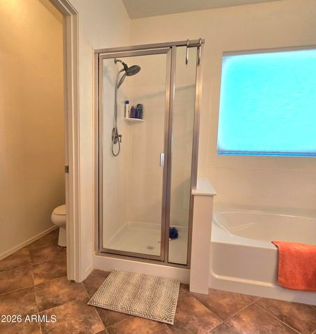 36338 W Cartegna Lane, Maricopa, AZ 85138