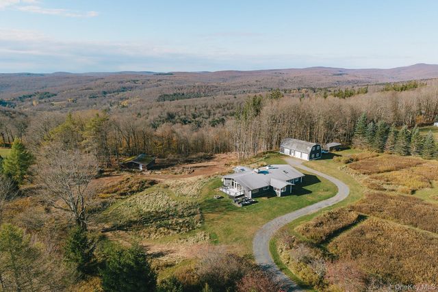 13 N Pond Drive, Parksville, NY 12768