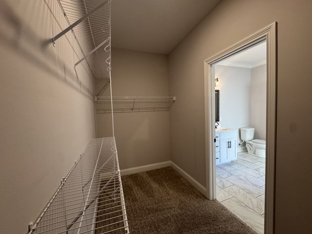 851 Cherry Blossom Ln, Clarksville, TN 37040