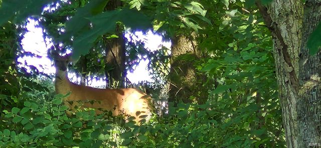 lot 2 waters edge Drive, Elkhart, IN 46514