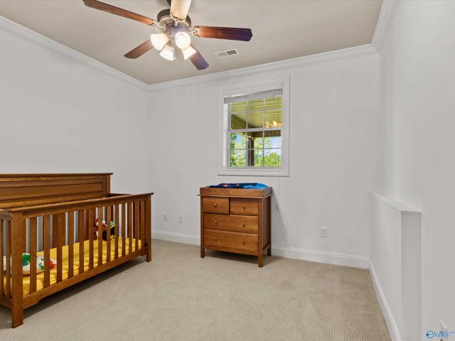 16258 Mcculley Mill Road, Athens, AL 35613