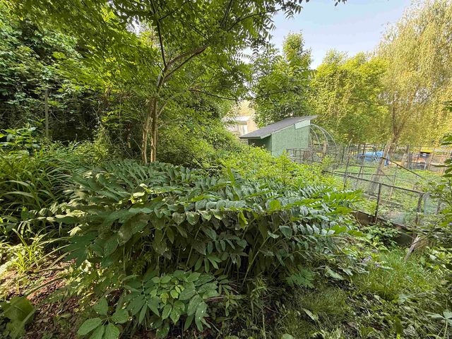 53 High Street, Middlebury, VT 05753