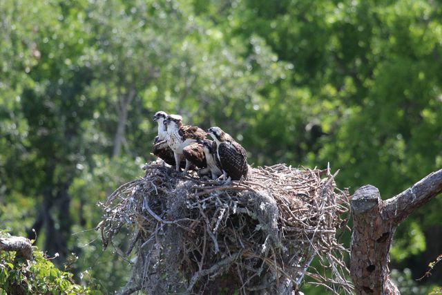 735 Pilot Lane, 812, Merritt Island, FL 32952