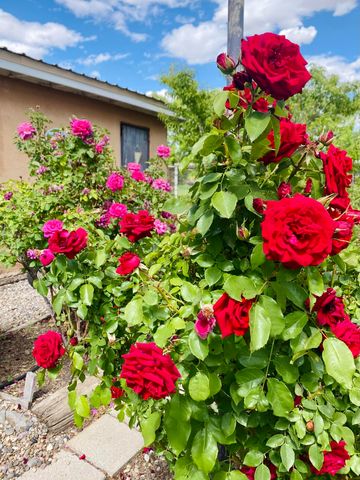 5 Hobbs Road, Peralta, NM 87042