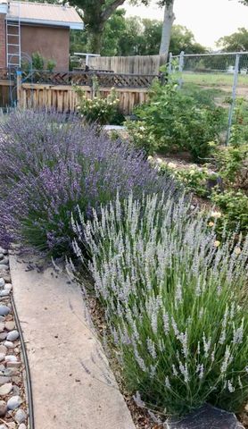5 Hobbs Road, Peralta, NM 87042