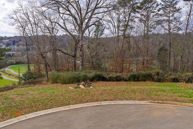 Lot 6 N Parkview Drive, Ellijay, GA 30540