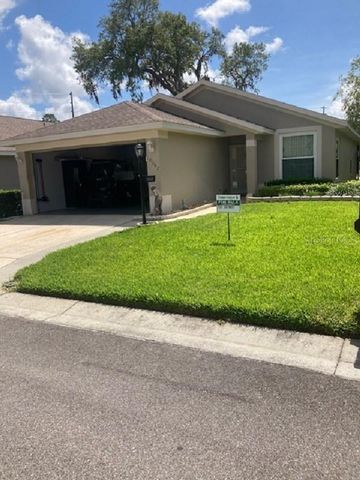 10007 BROOKDALE DRIVE, New Port Richey, FL 34655