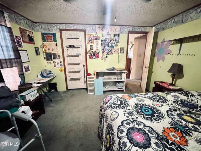 14512 Cedar Creek Road, Meadowview, VA 24361