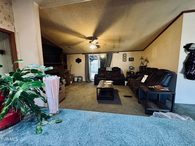 14512 Cedar Creek Road, Meadowview, VA 24361