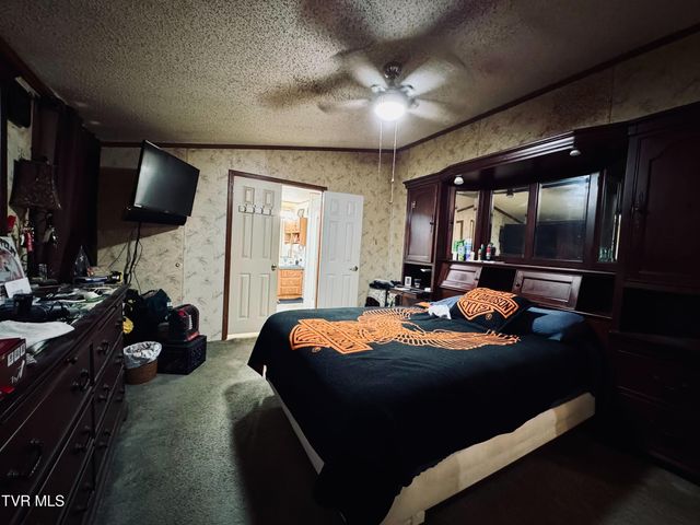 14512 Cedar Creek Road, Meadowview, VA 24361