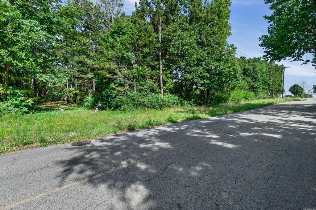 Mid Block 5 SunnyMeadow/Broadway, Heber Springs, AR 72543 — photo 10