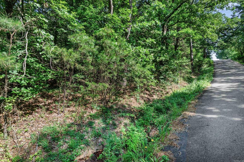 Mid Block 5 SunnyMeadow/Broadway, Heber Springs, AR 72543 — photo 5