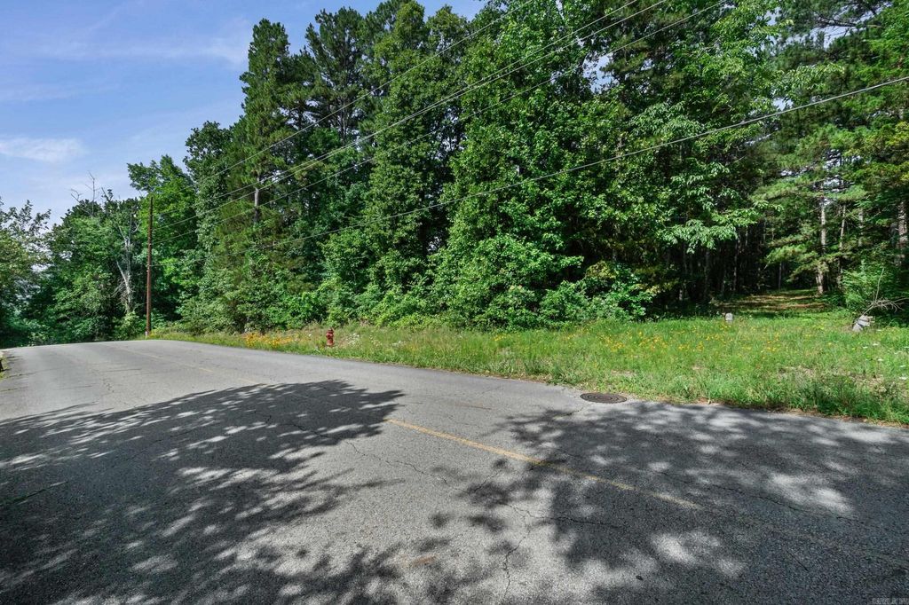 Mid Block 5 SunnyMeadow/Broadway, Heber Springs, AR 72543 — photo 9