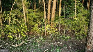 LEEDSTOWN ROAD, Oak Grove, VA 22443