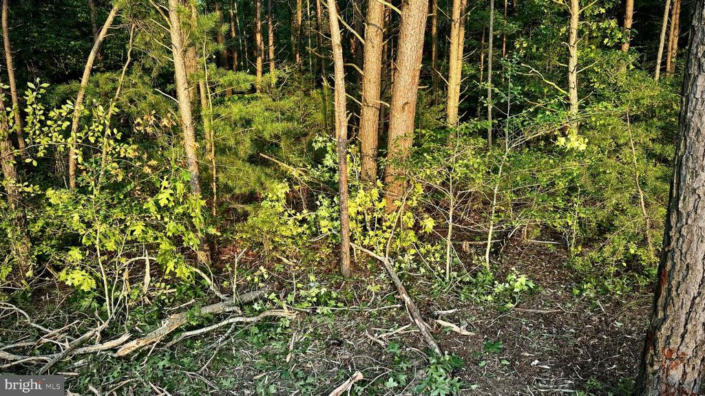 LEEDSTOWN ROAD, Oak Grove, VA 22443