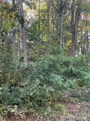 99999 Shelby Drive, Asheville, NC 28803