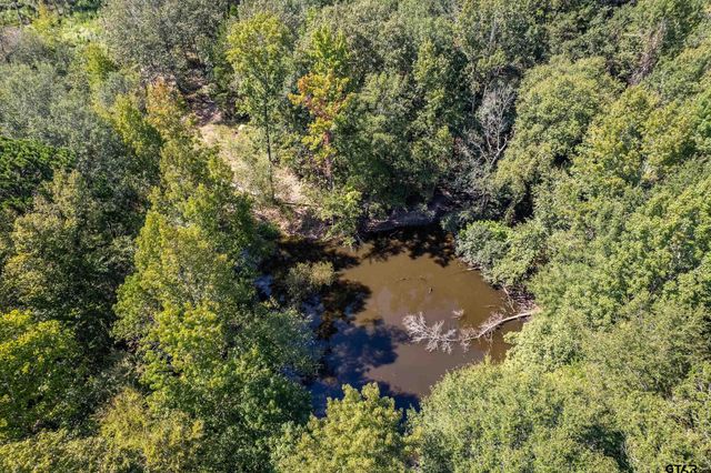 13900 County Road 2139, Troup, TX 75789