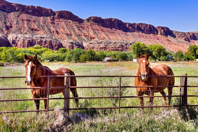 438 CASTLE VALLEY DR DR, Castle Valley, UT 84532