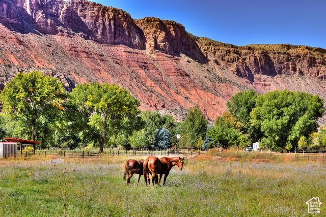 438 CASTLE VALLEY DR DR, Castle Valley, UT 84532