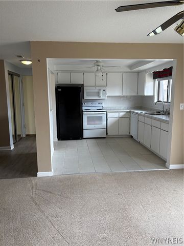 3948 Ridge Lea Road D, Amherst, NY 14228