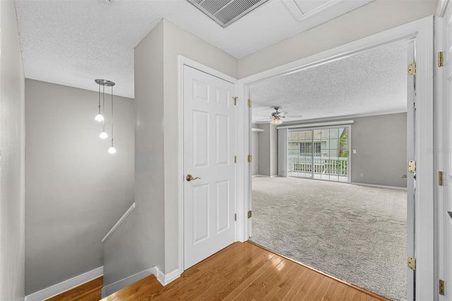 5116 BAYSHORE BOULEVARD, Tampa, FL 33611