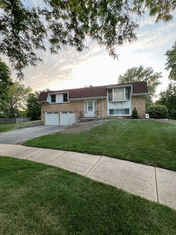 446 Alcester Court, Bolingbrook, IL 60440