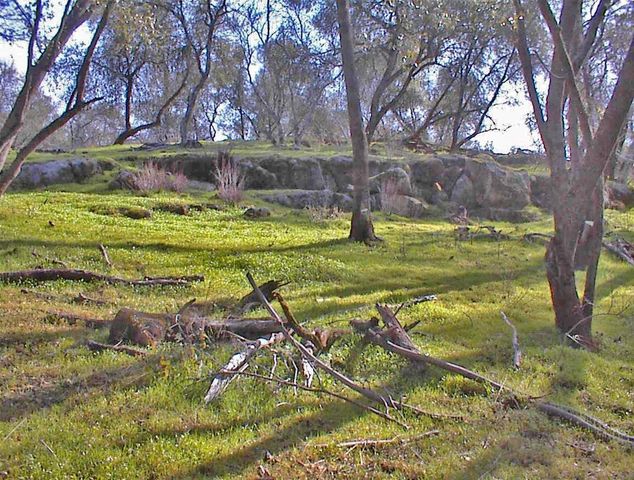 45483 Sand Creek Road, Yokuts Valley, CA 93675