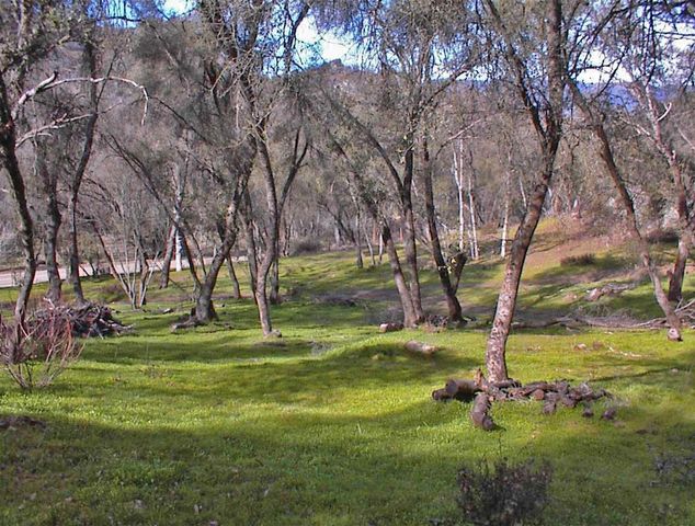 45483 Sand Creek Road, Yokuts Valley, CA 93675