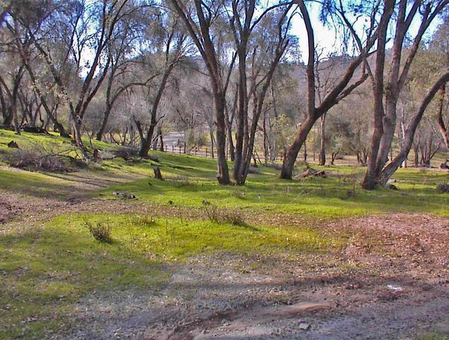 45483 Sand Creek Road, Yokuts Valley, CA 93675