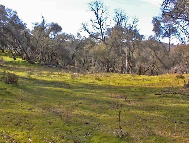 45483 Sand Creek Road, Yokuts Valley, CA 93675