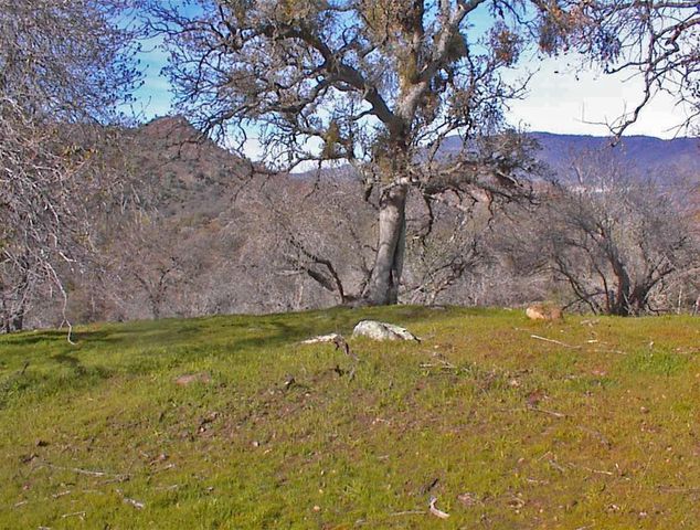 45483 Sand Creek Road, Yokuts Valley, CA 93675