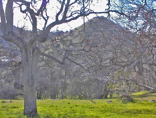 45483 Sand Creek Road, Yokuts Valley, CA 93675