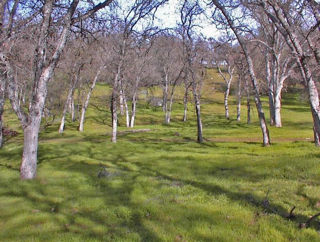 45483 Sand Creek Road, Yokuts Valley, CA 93675