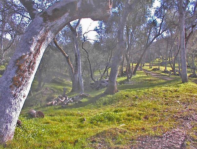 45483 Sand Creek Road, Yokuts Valley, CA 93675