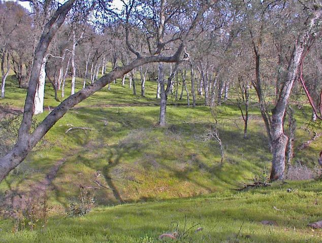 45483 Sand Creek Road, Yokuts Valley, CA 93675