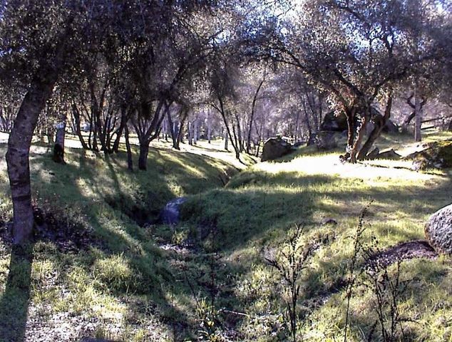 45483 Sand Creek Road, Yokuts Valley, CA 93675