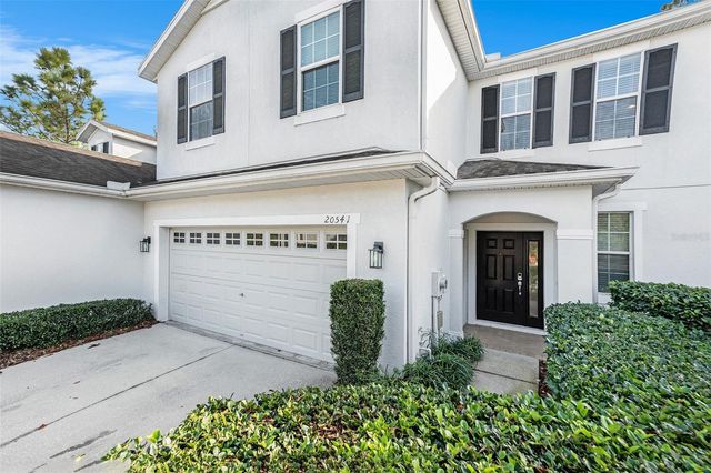 20541 GRAND VISTA LANE, Tampa, FL 33647