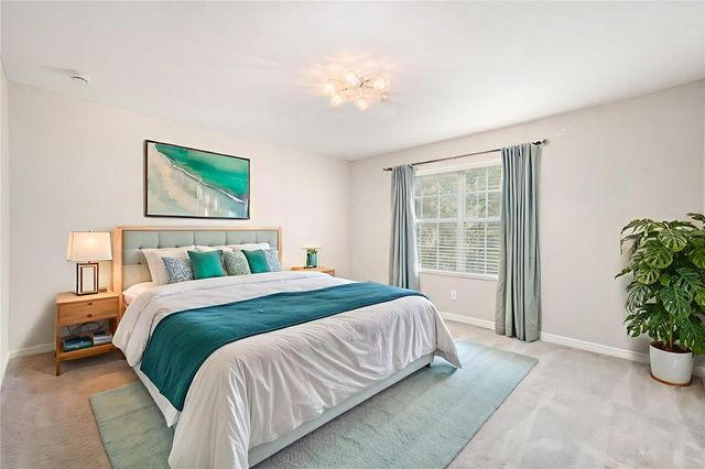 20541 GRAND VISTA LANE, Tampa, FL 33647